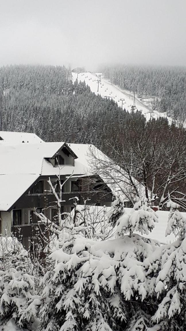 Ferienwohnung Steffens Hahnenklee Wohnung 25 กอสลาร์ ภายนอก รูปภาพ