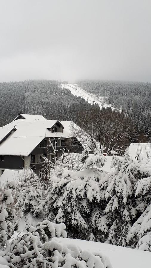 Ferienwohnung Steffens Hahnenklee Wohnung 25 กอสลาร์ ภายนอก รูปภาพ