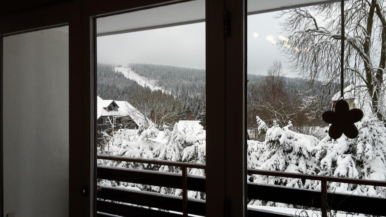 Ferienwohnung Steffens Hahnenklee Wohnung 25 กอสลาร์ ภายนอก รูปภาพ